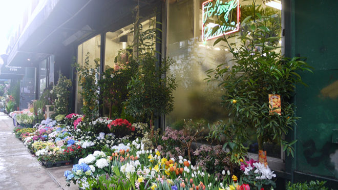Moving in Flower District: How to Make Your New Place Homely