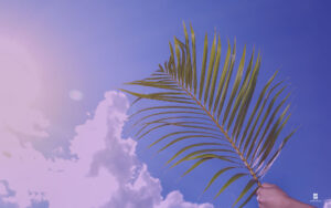 Moving on Palm Sunday