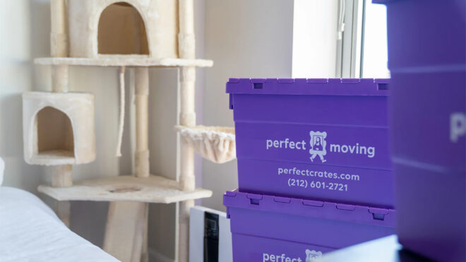 Behind the Scenes: How Reusable Crates Reduce Waste