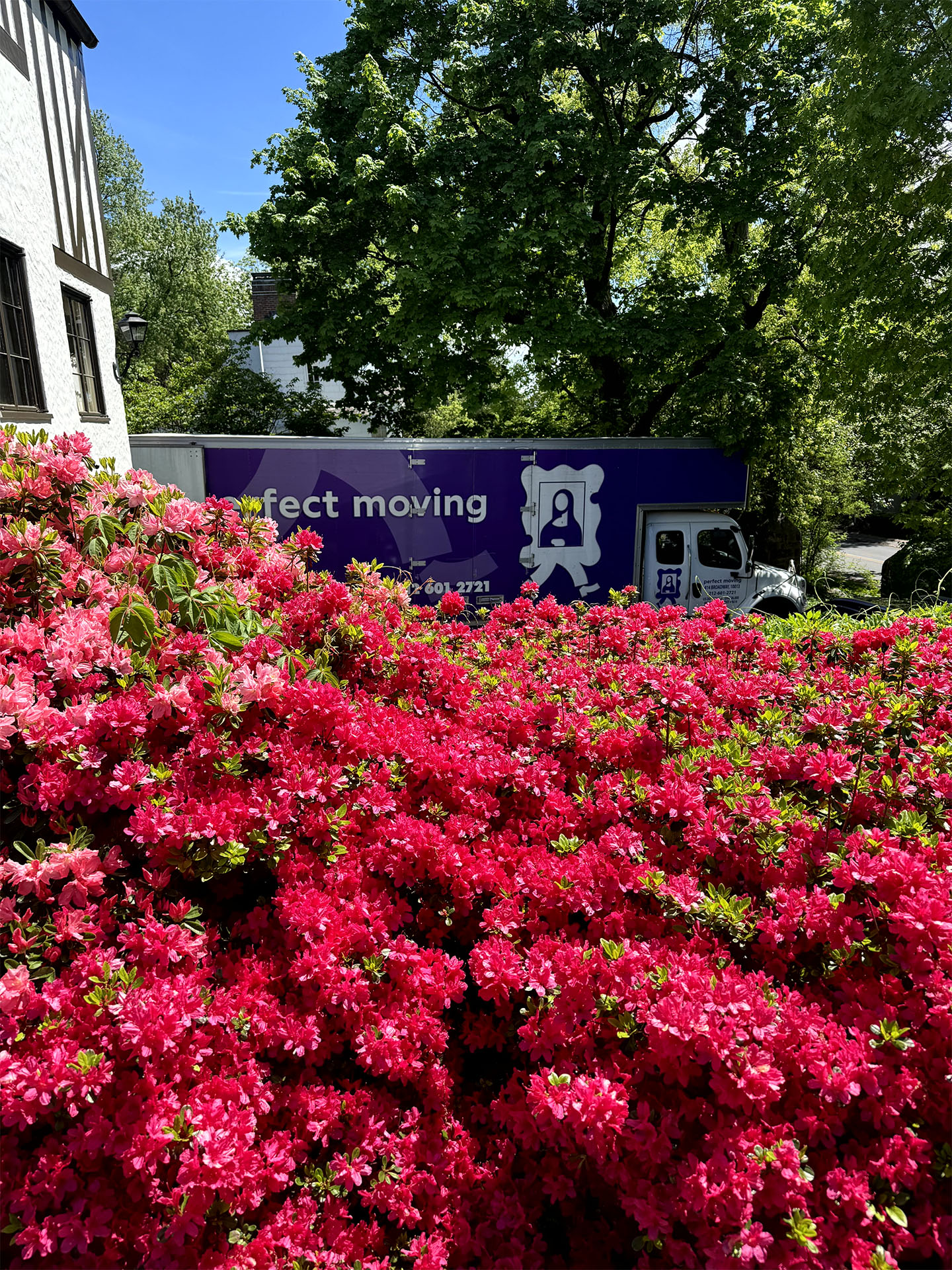 Perfect Moving & Storage NYC