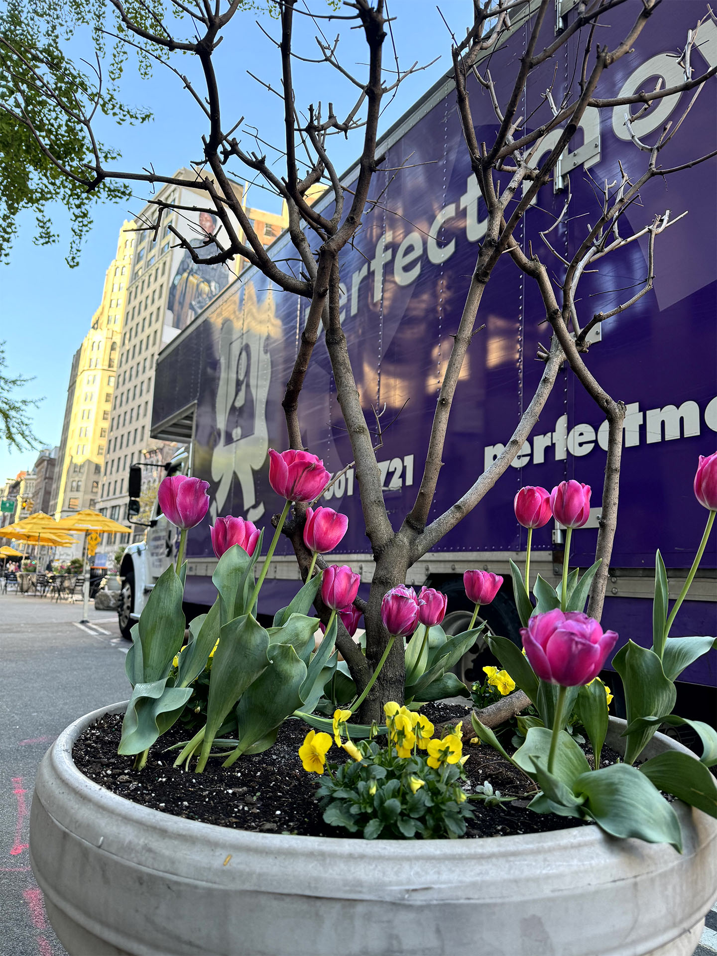 Perfect Moving & Storage NYC