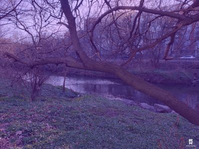Moving in Bronx River