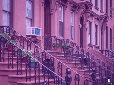 Moving in Brooklyn Mapleton