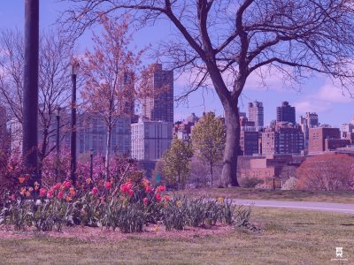 Moving in Queens Floral Park