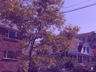 Moving in Queens Middle Village